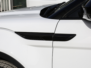 2018240PS SE DYNAMICJ (ji)^