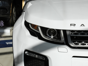 2018240PS PURE L(fng)а (x)(ji)^