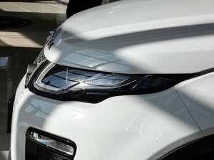 2018240PS PURE L(fng)а (x)(ji)^