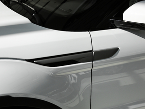 2018240PS PURE L(fng)а (x)(ji)^