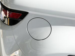 2018240PS PURE L(fng)а (x)(ji)^