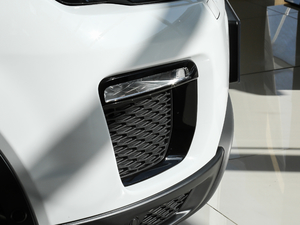 2018240PS PURE L(fng)а (x)(ji)^