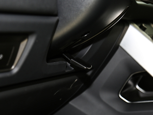 2018240PS PURE Lа g