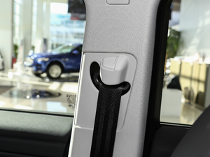 2018240PS PURE L(fng)а g