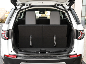 2018240PS HSE LUXURY g