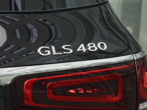 2022GLS 480 4MATIC ϸ