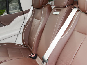 2022��GLS 480 4MATIC ���g����