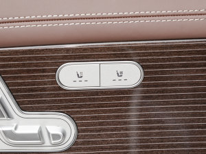 2022��GLS 480 4MATIC ���g����