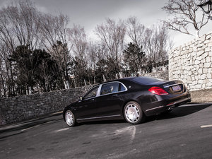 2015S 600 w^