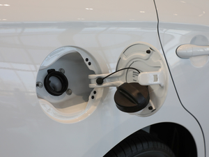 201918T ԄӻŞ V w