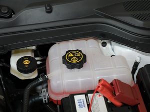 201918T Ԅ(dng)(lin)Ş (gu)V 