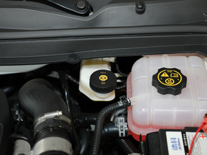 201918T Ԅ(dng)(lin)Ş (gu)V 