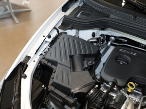 201918T Ԅ(dng)(lin)Ş (gu)V 