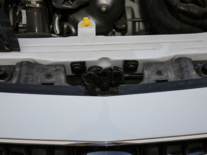 201915T pxϻ(lin)Ӣ (gu)V 