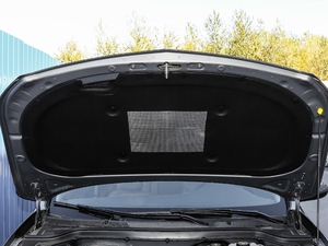 201918T Ԅӻ(lin)Ş V 