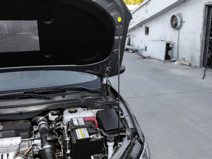 201918T Ԅӻ(lin)Ş V 