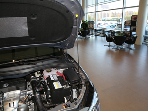 201918T Ԅӻ(lin)Ӣ V 