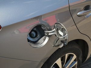 201918T Ԅӻ(lin)Ş VI w