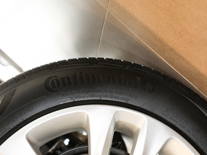 2019 20T pxϺA ݆̥Ʒ