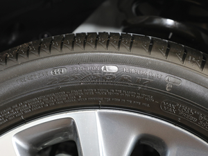 201918T 6F V ݆̥ߴ