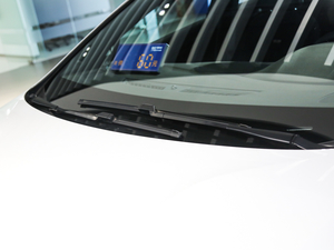 2019ɎGS 20T pxϺA ˢ