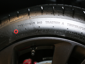 2019ɎGS 20T pxϺA ݆̥ߴ