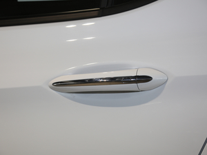 2019ɎGS 20T pxϺA ^