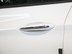 2019ɎGS 20T pxϺA {T