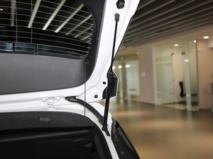 2019ɎGS 20T pxϺA g