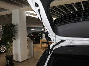 2019ɎGS 20T pxϺA g