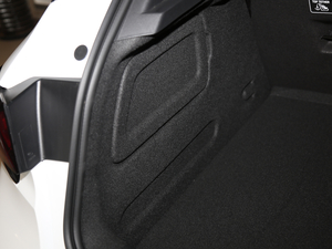 2019ɎGS 20T pxϺA g