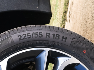 202020T GS ԄȫŞ ݆̥ߴ