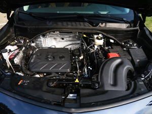 202020T GS ԄȫŞ l(f)әC