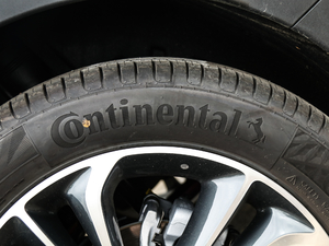 202020T GS CVTŞ ݆̥Ʒ