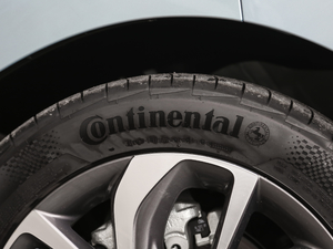 2020 PLUS ݆̥Ʒ