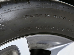 2020r PLUS ݆̥ߴ