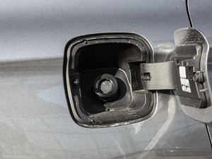 202028T (q)Ӣ (x)(ji)^