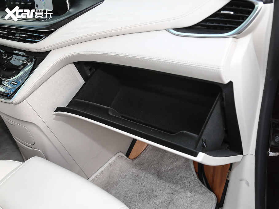 2020eGL8 ES AvenirS HY