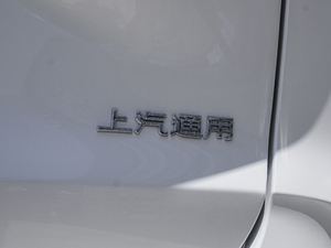 2020款653T 舒适型 细节外观