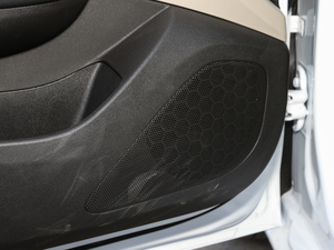 2021䷶ 1.5L ԄӾӢ g