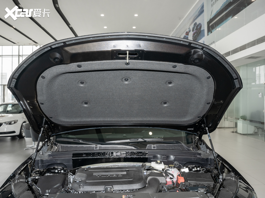 2020S 652T (q)S\Ӱ