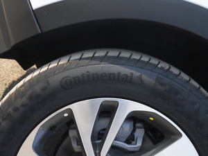 2020652T 򌾫Ӣ  ݆̥Ʒ