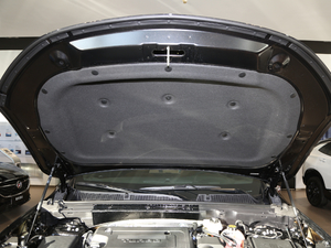 2020款652T 四驱豪华型 其它