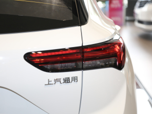 2020款652T 两驱豪华型  尾灯