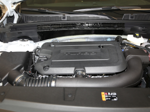 2020款652T 两驱豪华型  其它