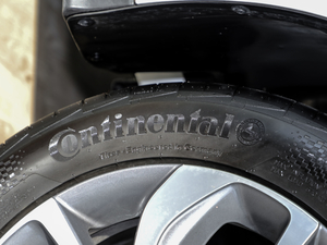 2020(lin) ݆̥Ʒ