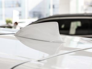 2020(lin) (ji)^