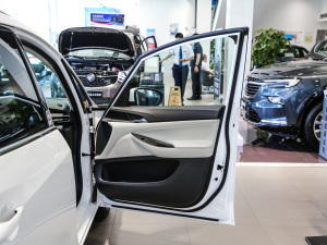 2021323T pӻ(lin)Ӣ g