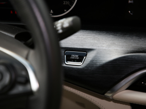 2021A(y)venirS tY п؅^(q)