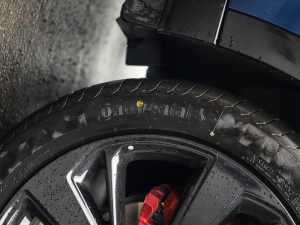 2022GS (q)\(yn)(dng) ݆̥Ʒ